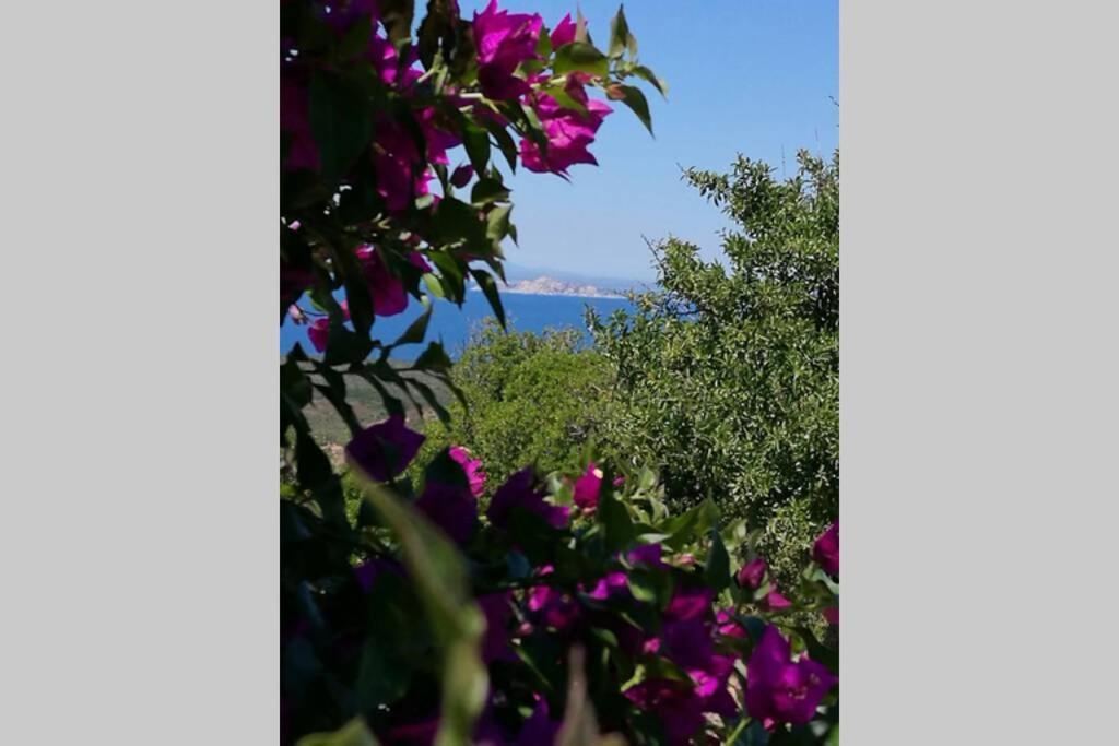 Villa Stazzu Bandera Aglientu Esterno foto