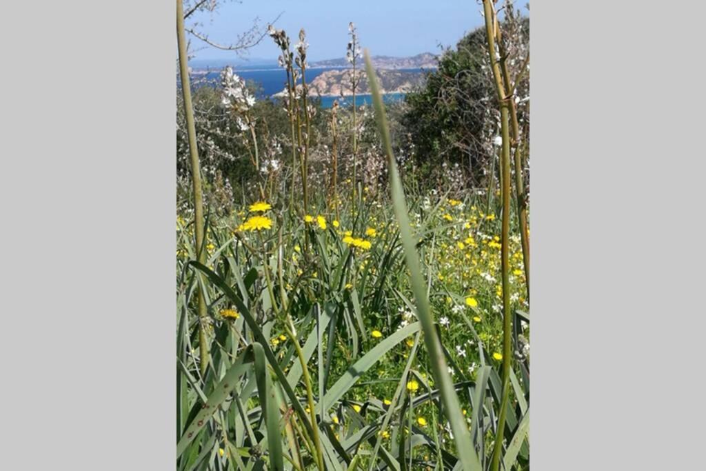 Villa Stazzu Bandera Aglientu Esterno foto